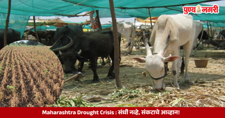 Maharashtra drought crisis showing dry farmland and water scarcity affecting rural communities
