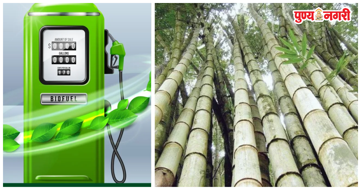 NRL bamboo-based 2G ethanol plant in Assam produces ethanol