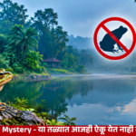 frogless-pond-mystery-frog-sound या तळ्यात आजही ऐकू येत नाही बेडकांचा आवाज