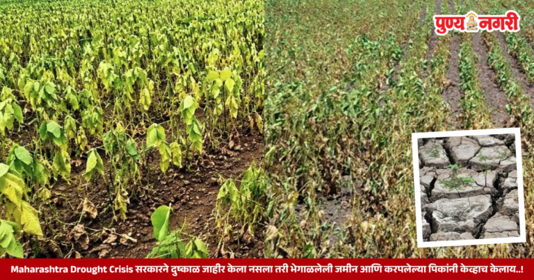 Maharashtra Drought Crisis : सरकारने दुष्काळ जाहीर केला नसला तरी भेगाळलेली जमीन आणि करपलेल्या पिकांनी केव्हाच केलाय..! 2026