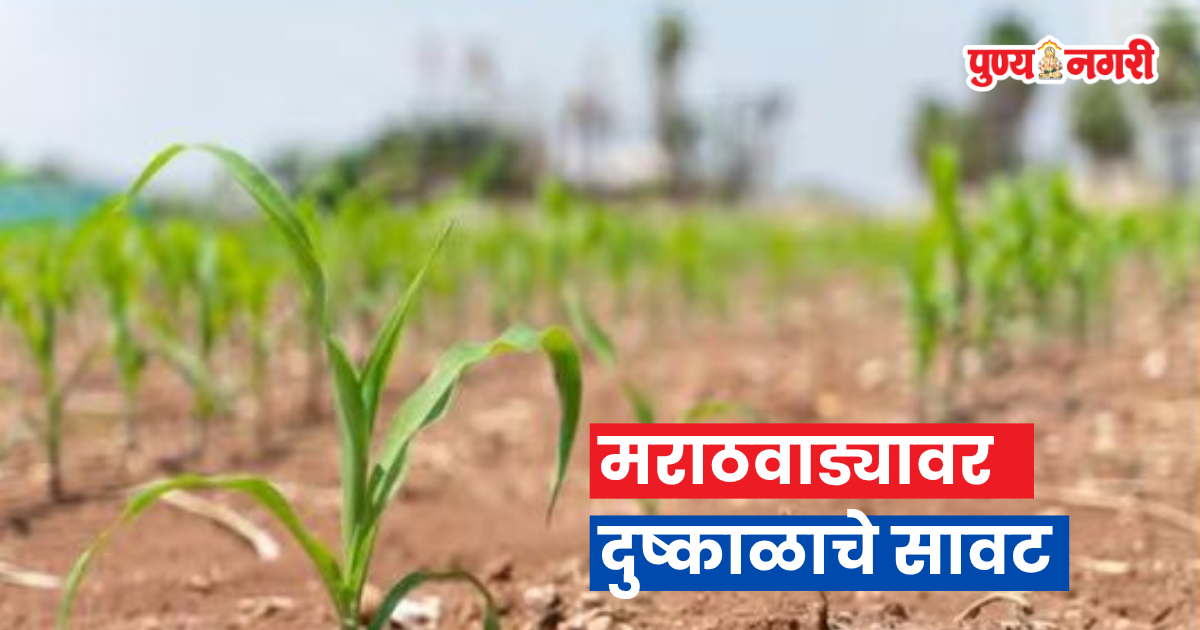 Marathwada faces drought threat as dam water is reserved for drinking and Rabi water planning is put on hold
