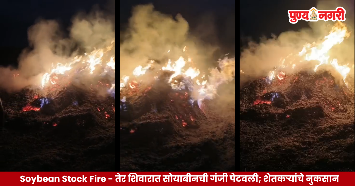 Soybean Stock Fire in Ter farmland causing loss to farmers