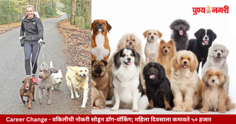 Career Change वकिलीची नोकरी सोडून डॉग-वॉकिंग; महिला दिवसाला कमावते ५० हजार