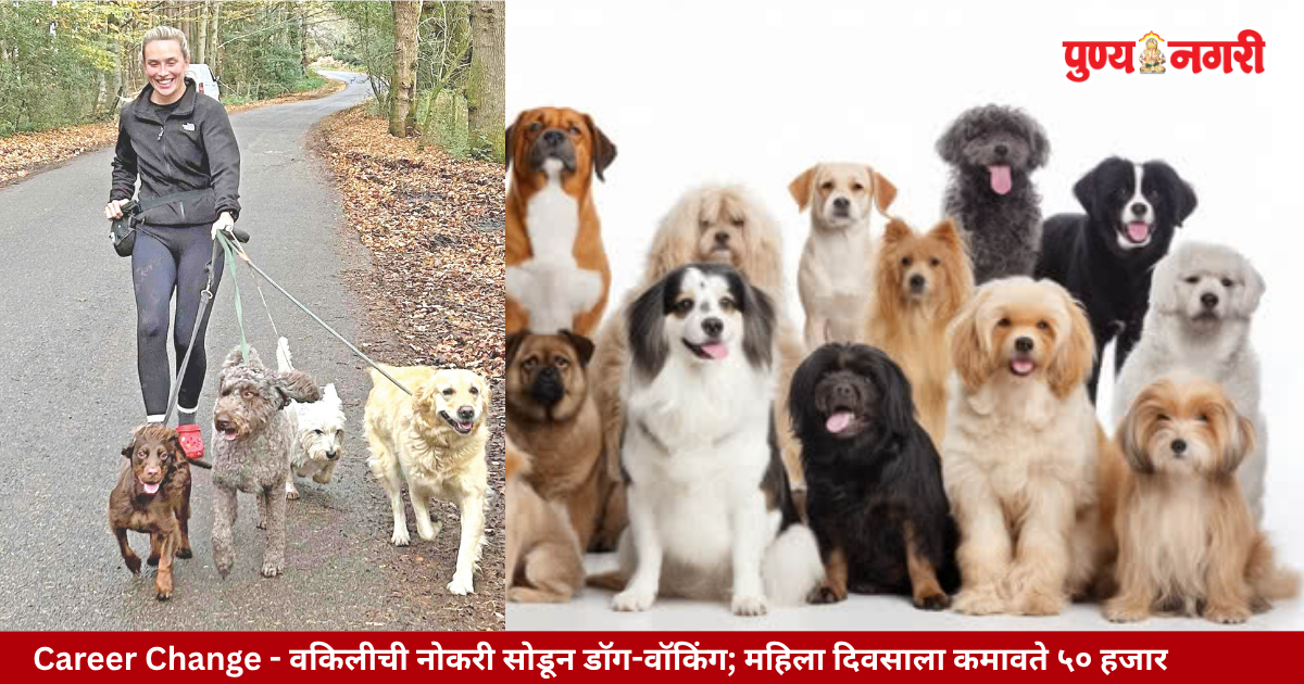 Career Change वकिलीची नोकरी सोडून डॉग-वॉकिंग; महिला दिवसाला कमावते ५० हजार
