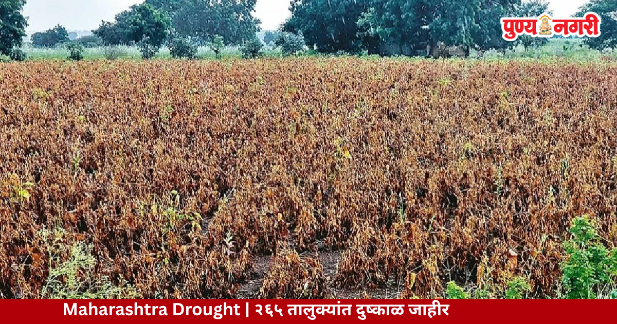 Maharashtra drought declared in 265 talukas and relief measures for farmers