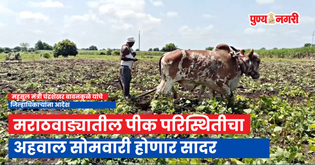 Revenue Minister Chandrashekhar Bawankule reviews Marathwada crop condition through video conference