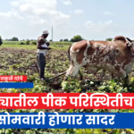 Revenue Minister Chandrashekhar Bawankule reviews Marathwada crop condition through video conference