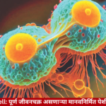 SpudCell artificial cell completing a full life cycle in laboratory