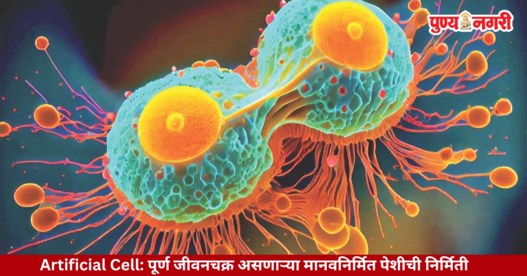 SpudCell artificial cell completing a full life cycle in laboratory