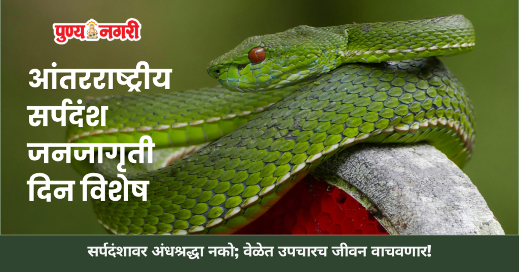 Medical professional treating a snakebite patient in Chhatrapati Sambhajinagar hospital