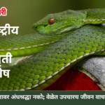 Medical professional treating a snakebite patient in Chhatrapati Sambhajinagar hospital