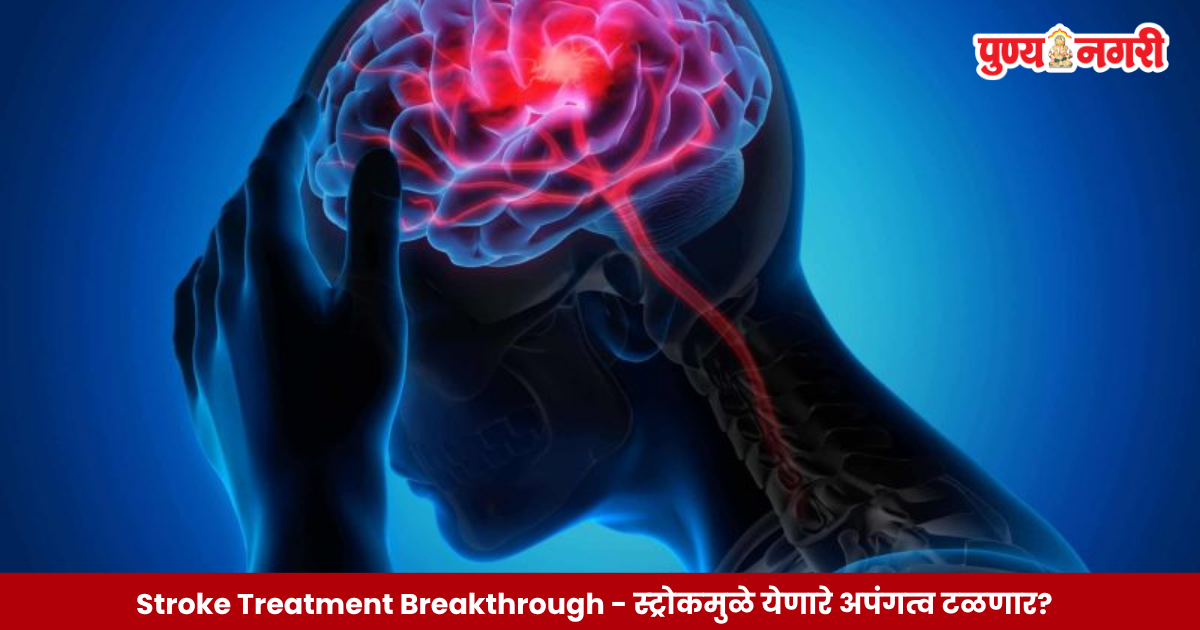 स्ट्रोकच्या उपचारासाठी विकसित करण्यात आलेले लोबेरामिसल औषध