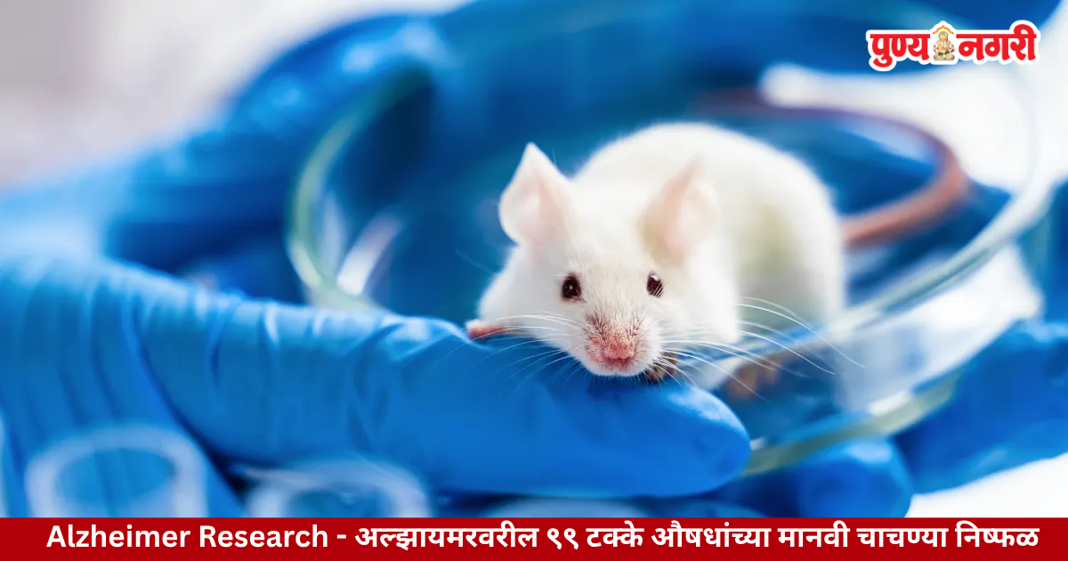 Alzheimer research showing failure of drugs successful in mouse trials during human trials