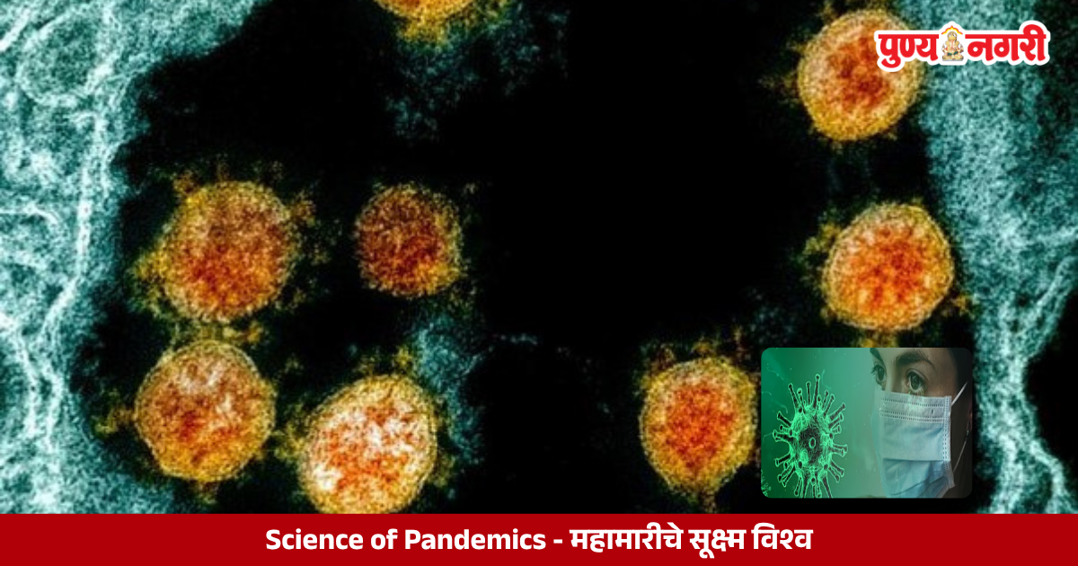 Microscopic virus particles illustrating infectious disease transmission and the science behind global pandemics.