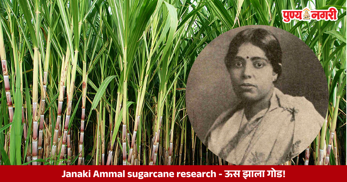 E.K. Janaki Ammal, Indian botanist known for her contributions to sugarcane breeding and plant genetics.