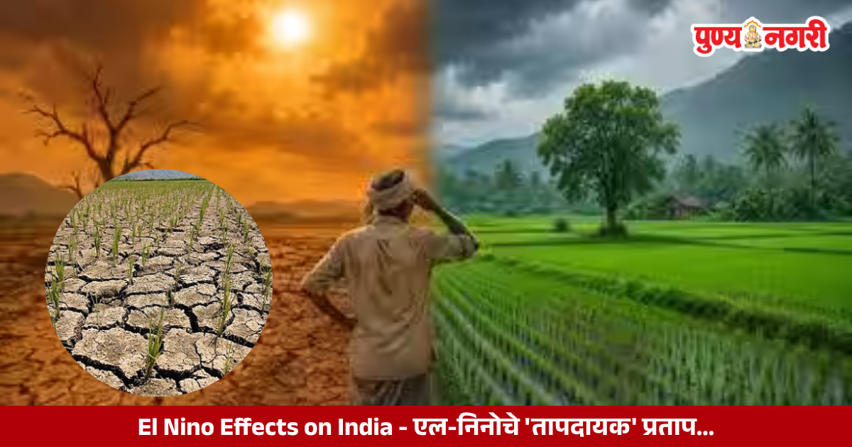 El Niño effects on global weather, rising Pacific Ocean temperatures, drought, heatwaves and rainfall shortages in India.