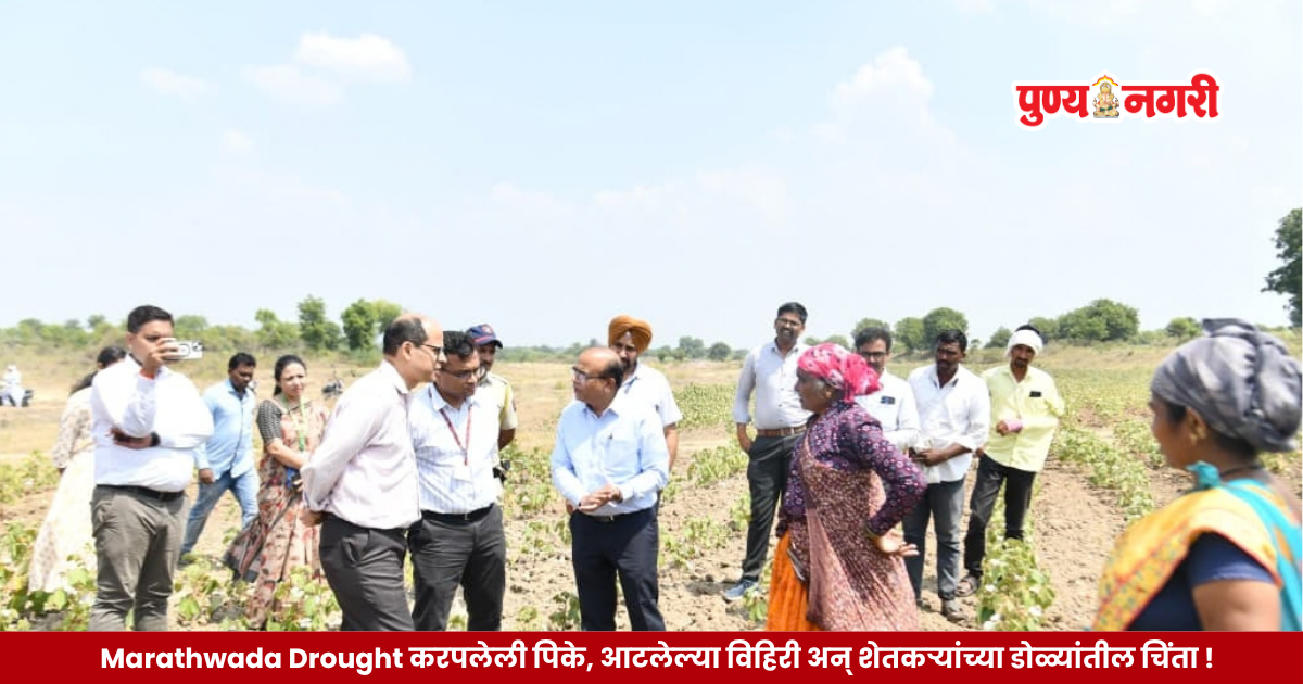 Central drought assessment team inspects drought-damaged soybean and cotton crops and dry water sources in Marathwada, Maharashtra.