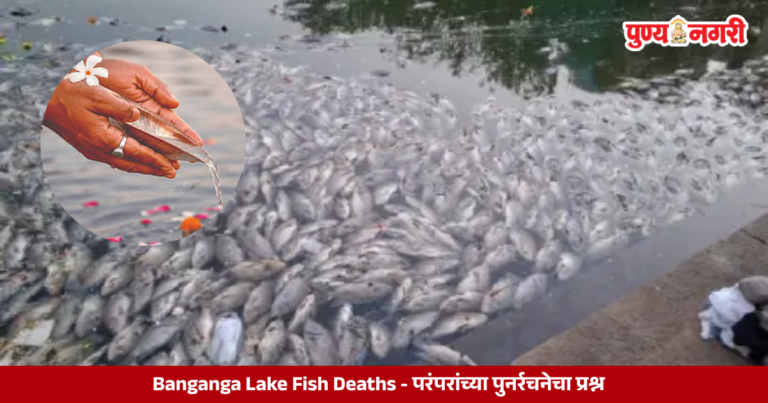 Dead fish floating in Banganga Lake in Mumbai after Pitru Paksha rituals, highlighting water pollution and environmental concerns