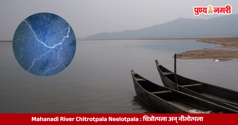 Mahanadi River Chitrotpala Neelotpala : चित्रोत्पला अन् नीलोत्पला