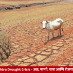 Drought affected farmers in Maharashtra facing crop losses, water scarcity, fodder shortages and lack of rural employment.