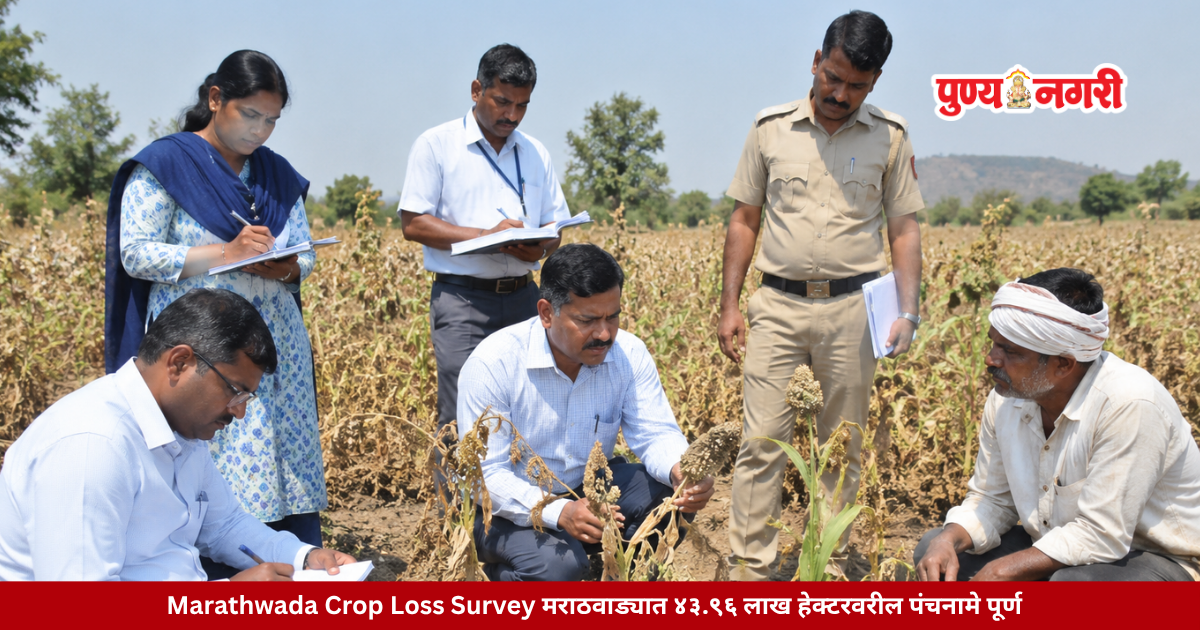 Revenue and agriculture officials assessing drought-related crop damage in a withered field in Marathwada, Maharashtra.
