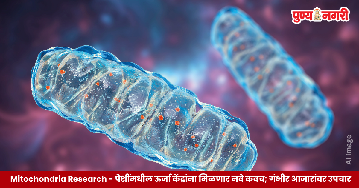 Scientific illustration of mitochondria coated with metal-organic framework material while preserving cellular energy production
