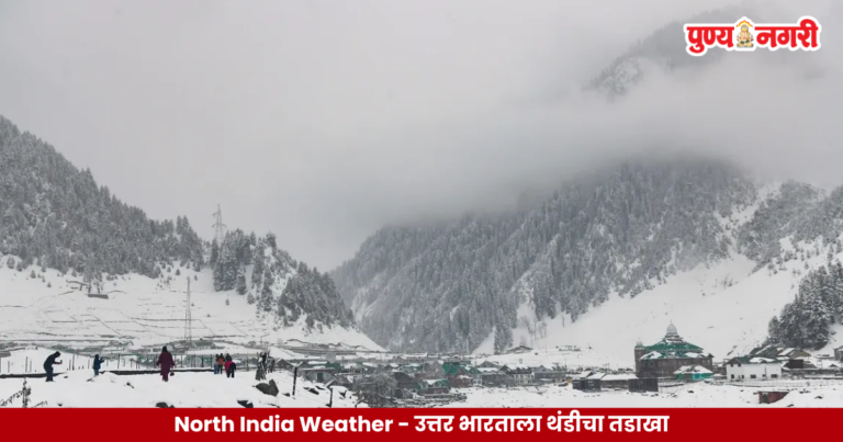 North India Weather – उत्तर भारताला थंडीचा तडाखा