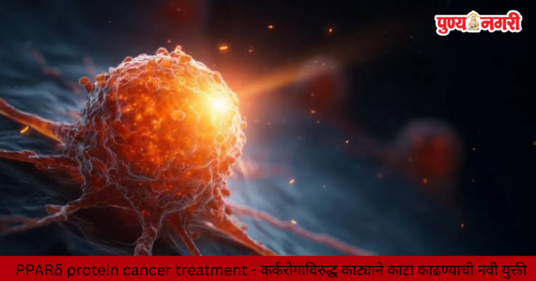 Scientists investigate how activating the PPARδ protein in immune cells may improve cancer-fighting activity and CAR-T cell therapy.