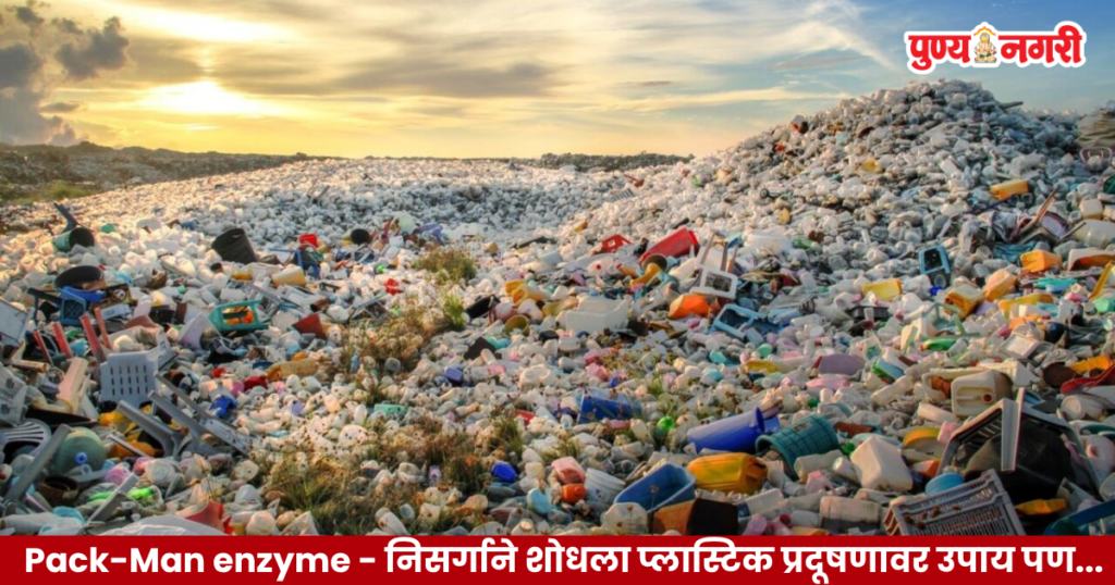Scientists discover a Pack-Man enzyme in soil bacteria that breaks down biodegradable polyester plastic.