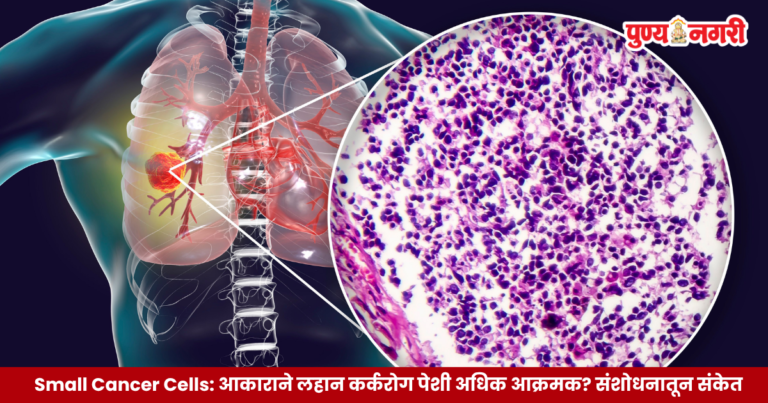 Small Cancer Cells दर्शवणारे वैज्ञानिक चित्र, ज्यात लहान पण अधिक आक्रमक होऊ शकणाऱ्या कर्करोग पेशी आणि ट्यूमरची वाढ दाखवली आहे.