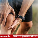 Stanford University research on regenerating damaged knee cartilage and treating osteoarthritis