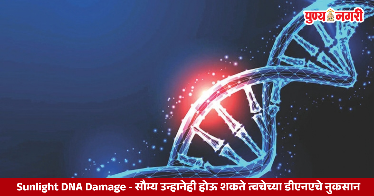 Skin exposed to mild sunlight and ultraviolet radiation that may damage DNA