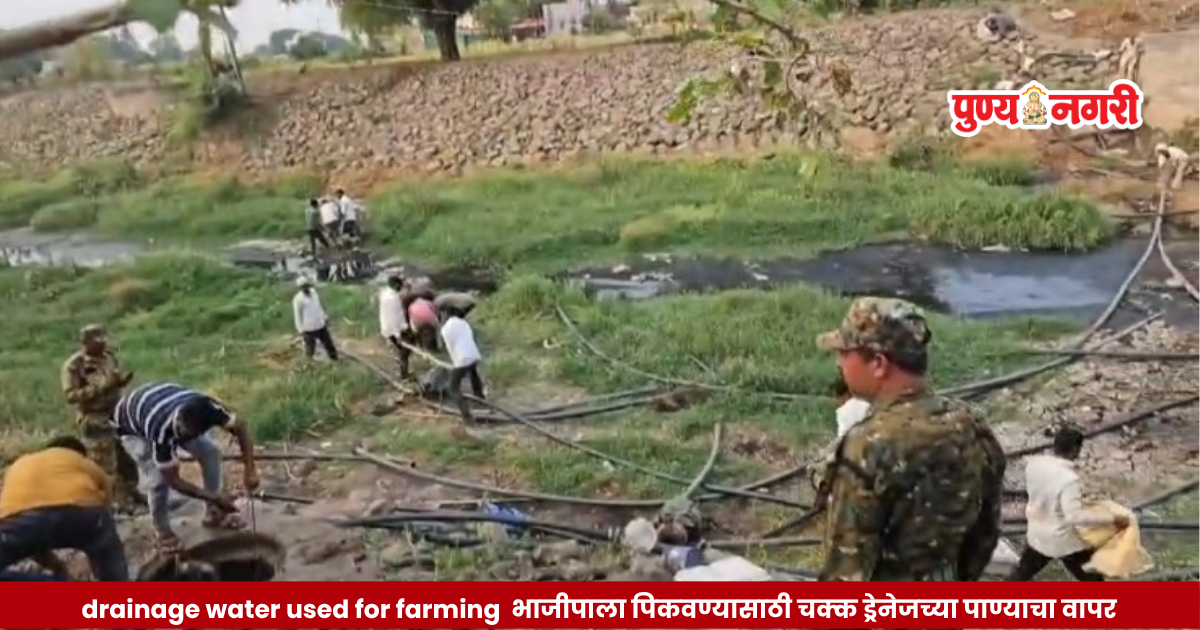 Municipal corporation officials inspecting seized motor pumps and pipes used for stealing drainage water in Chhatrapati Sambhajinagar