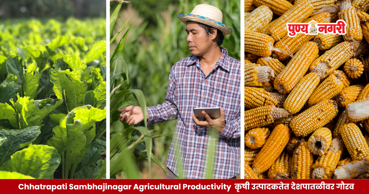 Chhatrapati Sambhajinagar district recognised nationally for agricultural productivity under the Pradhan Mantri Dhan-Dhaanya Krishi Yojana.