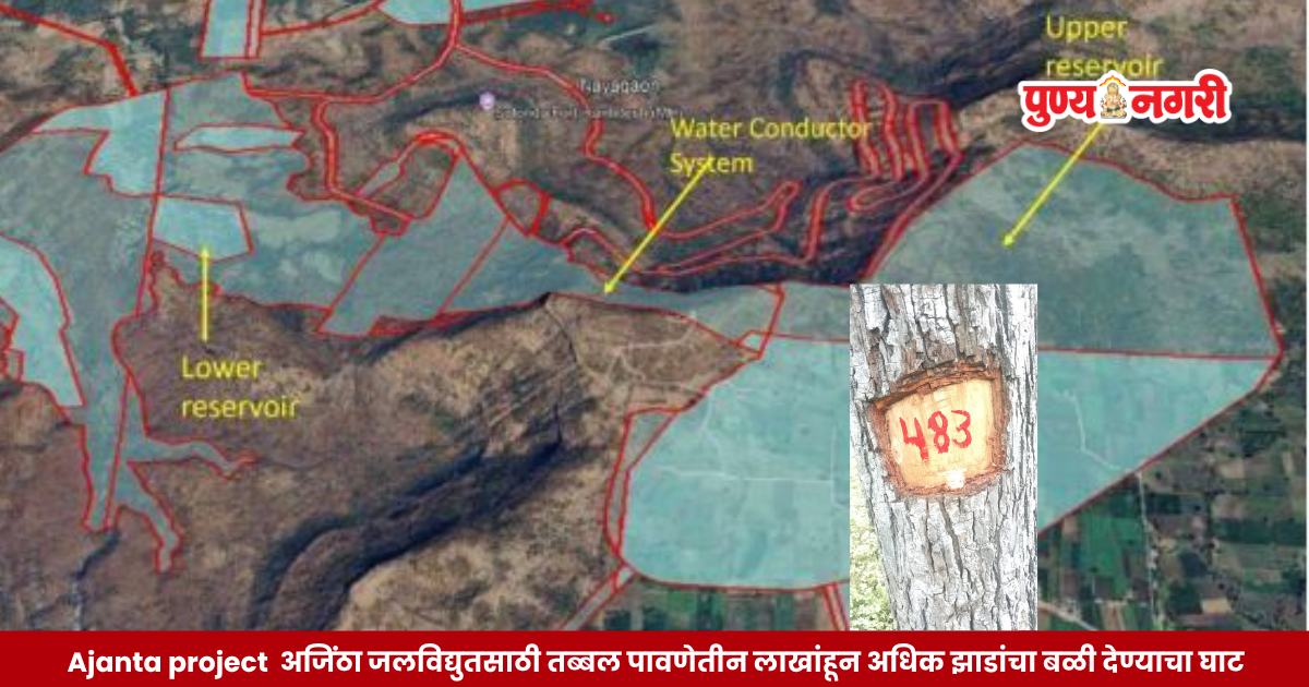 Dense green forest cover of Ajanta hills in Soygaon under threat from a proposed hydroelectric project.