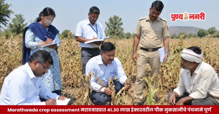 Marathwada Crop Damage Assessment : मराठवाड्यात 41.30 लाख हेक्टरवरील पीक नुकसानीचे पंचनामे पूर्ण