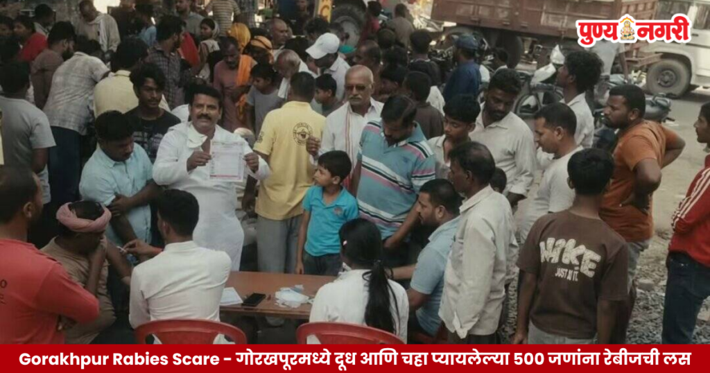 Gorakhpur Cow Rabies Scare After Suspected Infection, 500 People Receive Rabies Vaccination