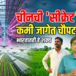 China Smart Farming : चीनच्या स्मार्ट शेतीतून भारत काय शिकू शकतो? ५ महत्त्वाचे तंत्र