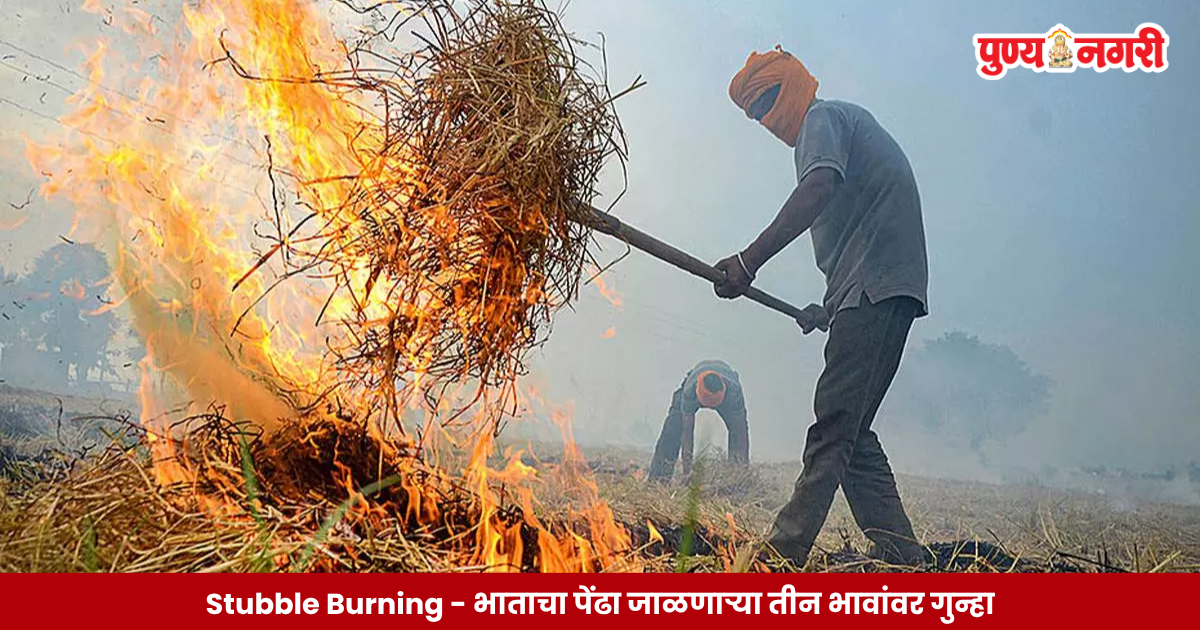 Stubble Burning : यमुनानगरमध्ये पराली जाळल्याप्रकरणी तीन भावांवर गुन्हा दाखल; एक वर्ष MSP वर पीक विकण्यास बंदी.