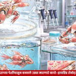 Image Alt Text: Bio-hybrid robots made using mouse muscle cells by ETH Zurich researchers