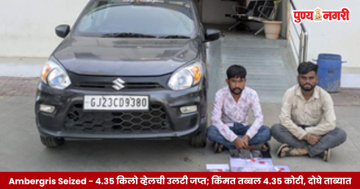 Ambergris Seized गुजरातच्या बावळा परिसरात ४.३५ किलो अंबरग्रीस म्हणजेच व्हेलची उलटी जप्त; दोन जण ताब्यात.